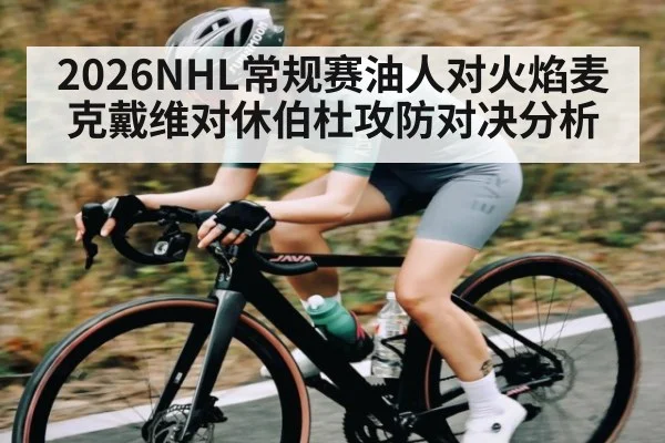 2026NHL常规赛油人对火焰麦克戴维对休伯杜攻防对决分析